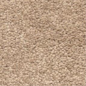 Casual Texture Topo Beige/Tan Carpet