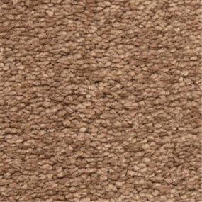 Casual Texture Madera Beige/Tan Carpet