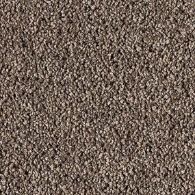 Textured Saxony Regal Brown Carpet