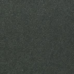 Cut Pile Green Hills Gray Carpet