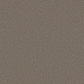 Textured Saxony Prairie Beige/Tan Carpet
