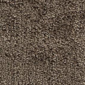 Textured Saxony Moonstone Brown Carpet