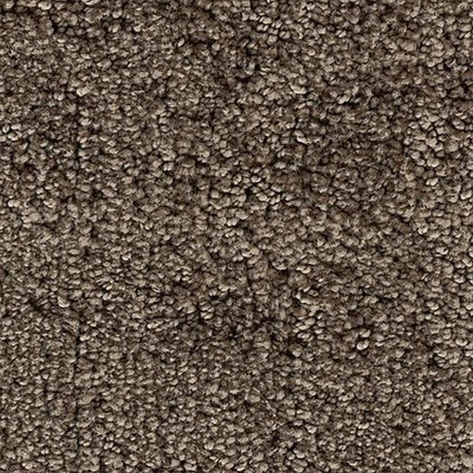 Textured Saxony Moonstone Brown Carpet
