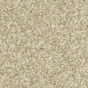 Textured Saxony Haven Brown Carpet