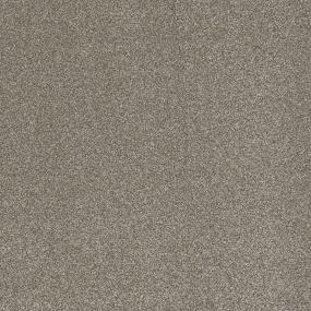 Textured Saxony Harmonized Brown Carpet