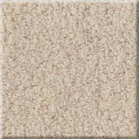 Plush Almond Beige/Tan Carpet