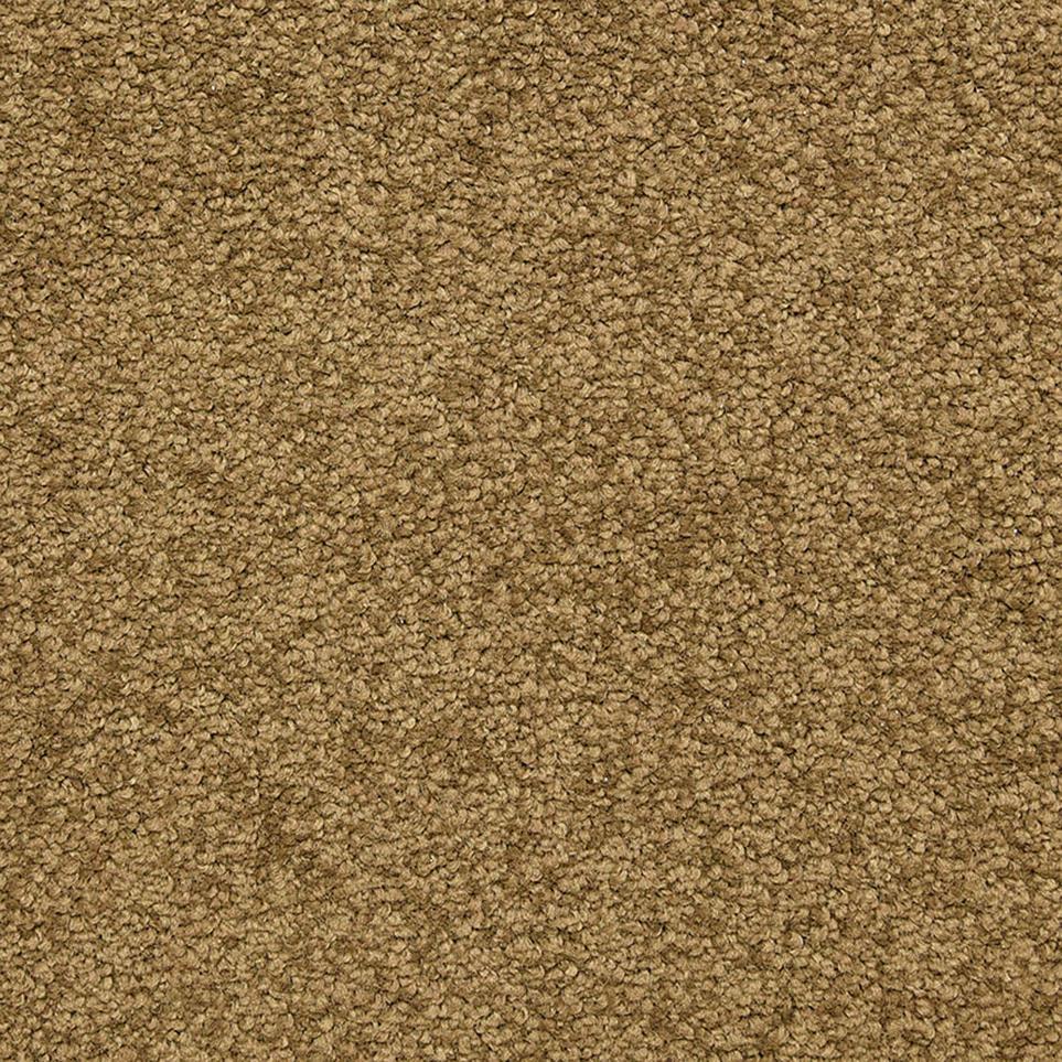 Texture Chestnut Brown Carpet