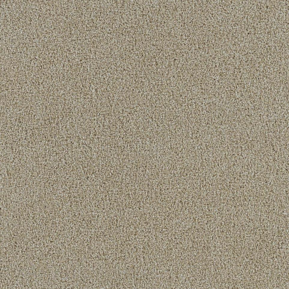 Textured Saxony Versatile Beige/Tan Carpet