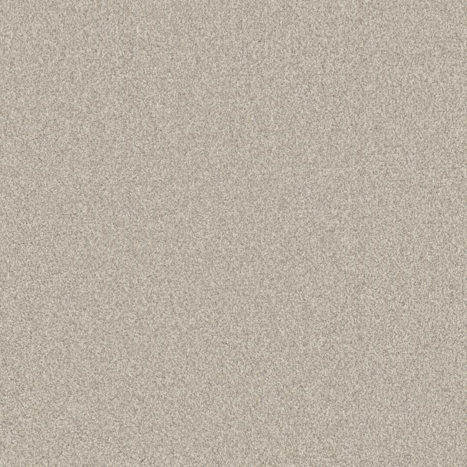 Texture Seashell Brown Carpet