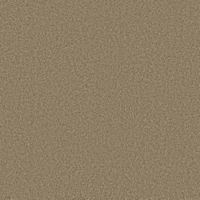 Textured Saxony Tawny Beige/Tan Carpet