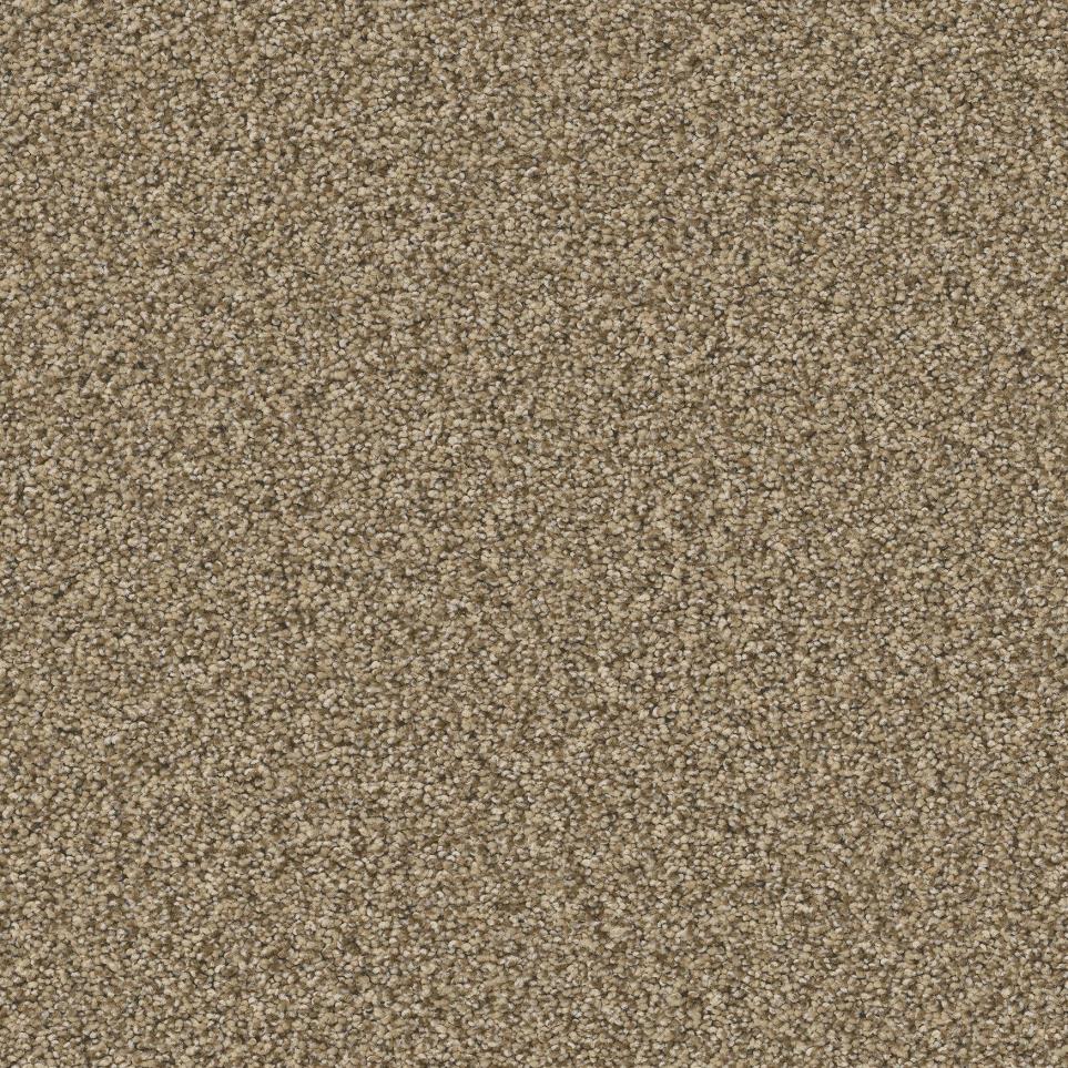 Textured Saxony Tawny Beige/Tan Carpet