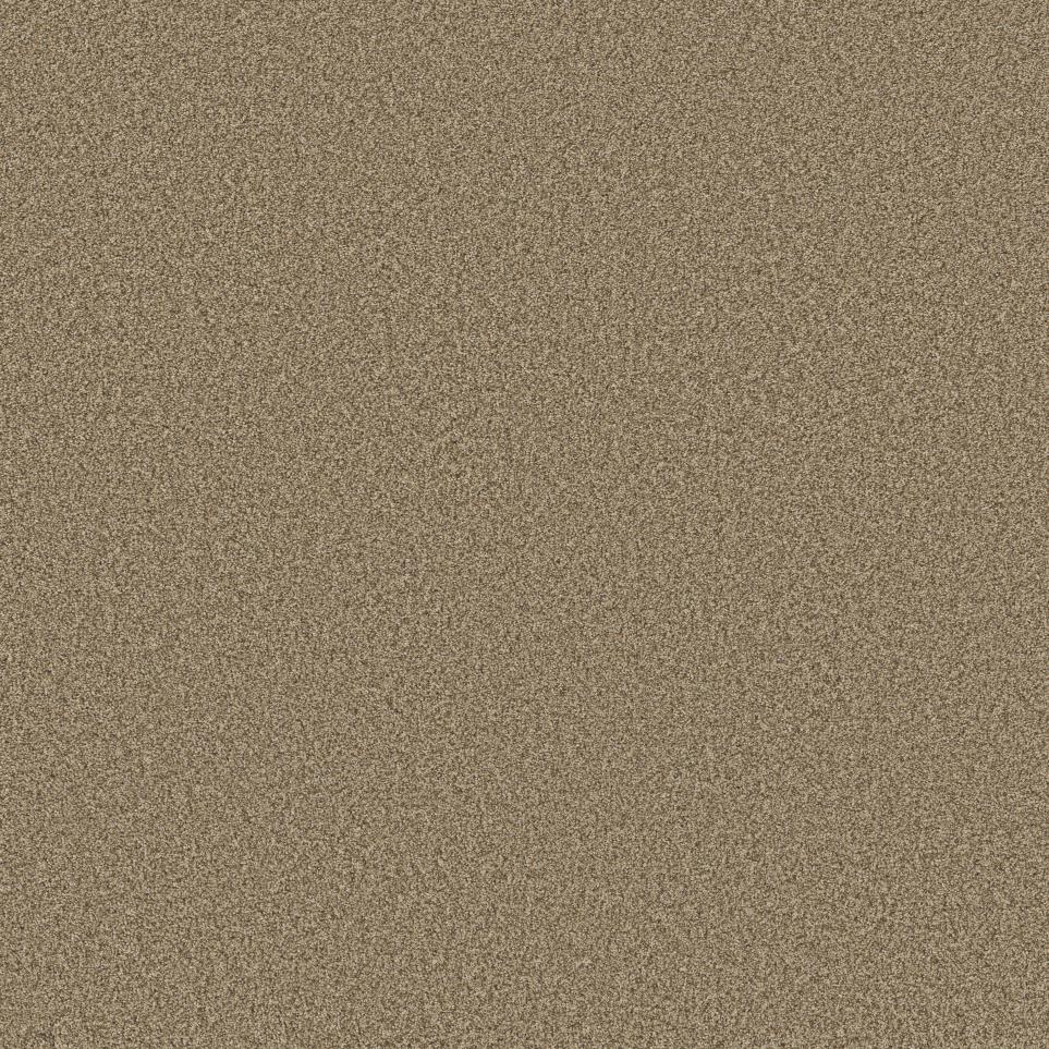 Texture Tawny Beige/Tan Carpet