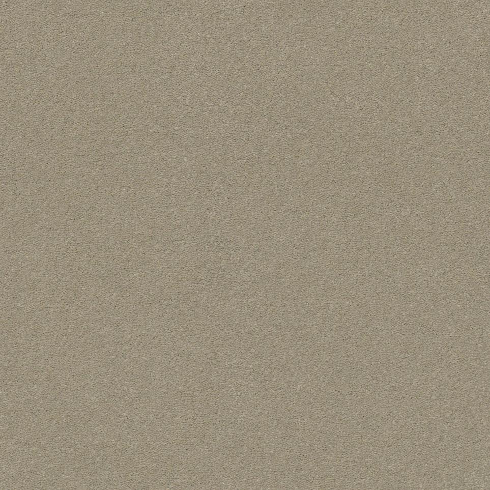 Textured Saxony Elephant Ear Brown Carpet