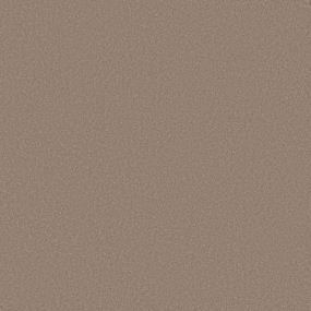 Texture Blissful Blush Beige/Tan Carpet