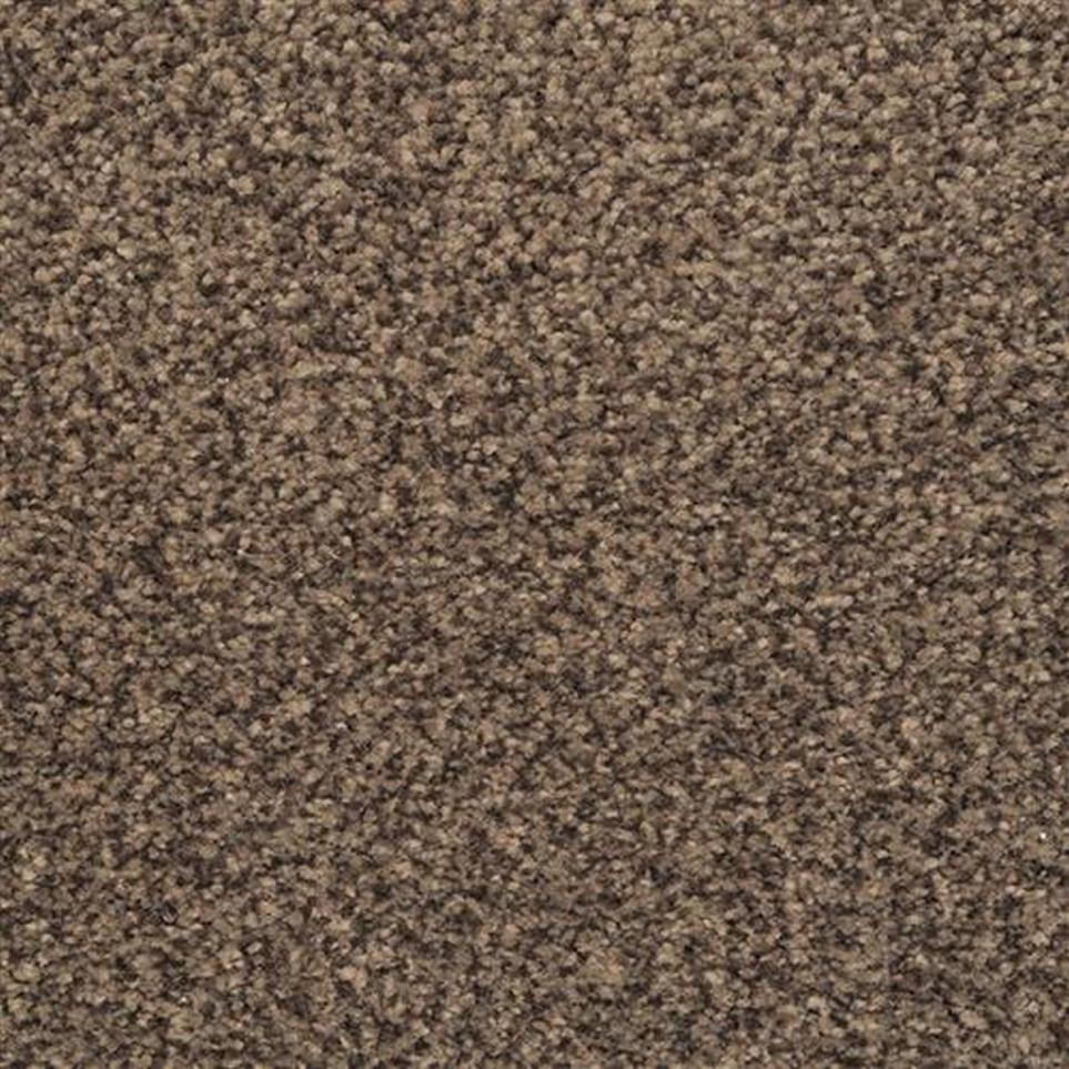 Casual Texture Blackened Brown Carpet