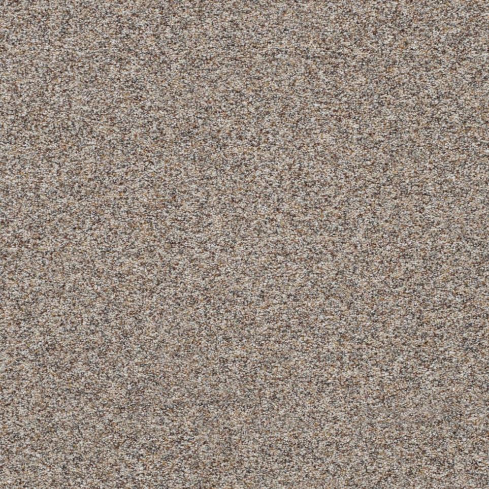 Textured Saxony Earth Trail Brown Carpet