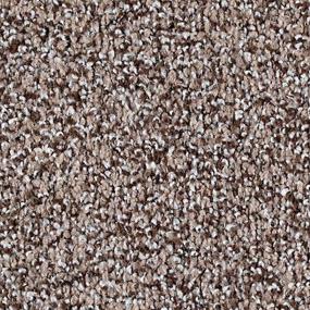 Textured Saxony Turnstone Beige/Tan Carpet