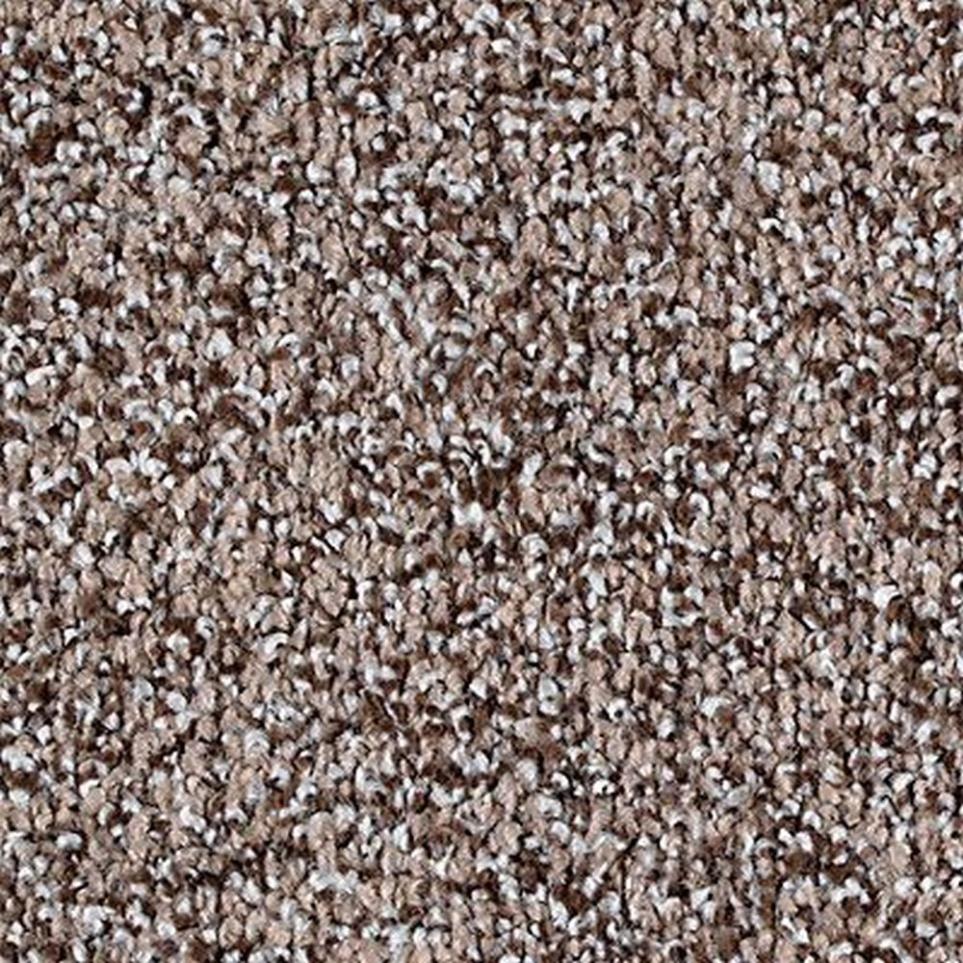 Textured Saxony Turnstone Beige/Tan Carpet