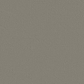 Pattern Driftwood Brown Carpet