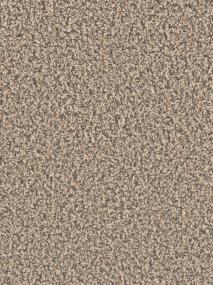 Textured Saxony Heritage Brown Carpet