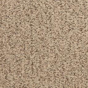Loop Driftwood Brown Carpet