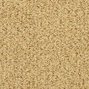 Loop Amber Glow Beige/Tan Carpet