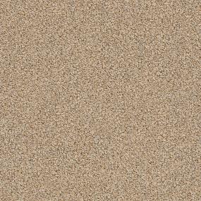Loop Aztec Coins Beige/Tan Carpet
