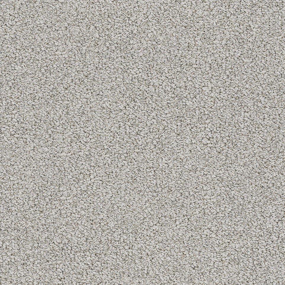 Loop Mineralite Gray Carpet