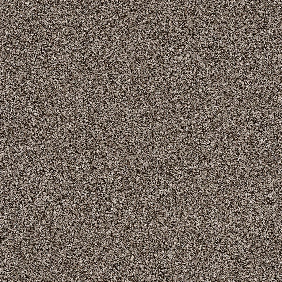 Loop Mystery Brown Carpet