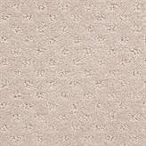 Pattern Ecru Beige/Tan Carpet