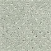Pattern June Gray Carpet