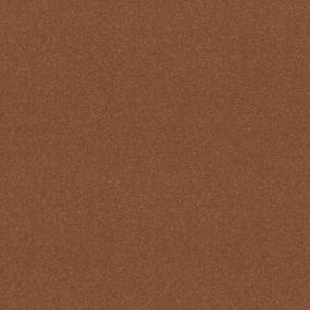 Textured Saxony Tangerine Orange Carpet