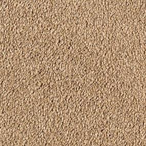 Textured Saxony Artisan Beige/Tan Carpet