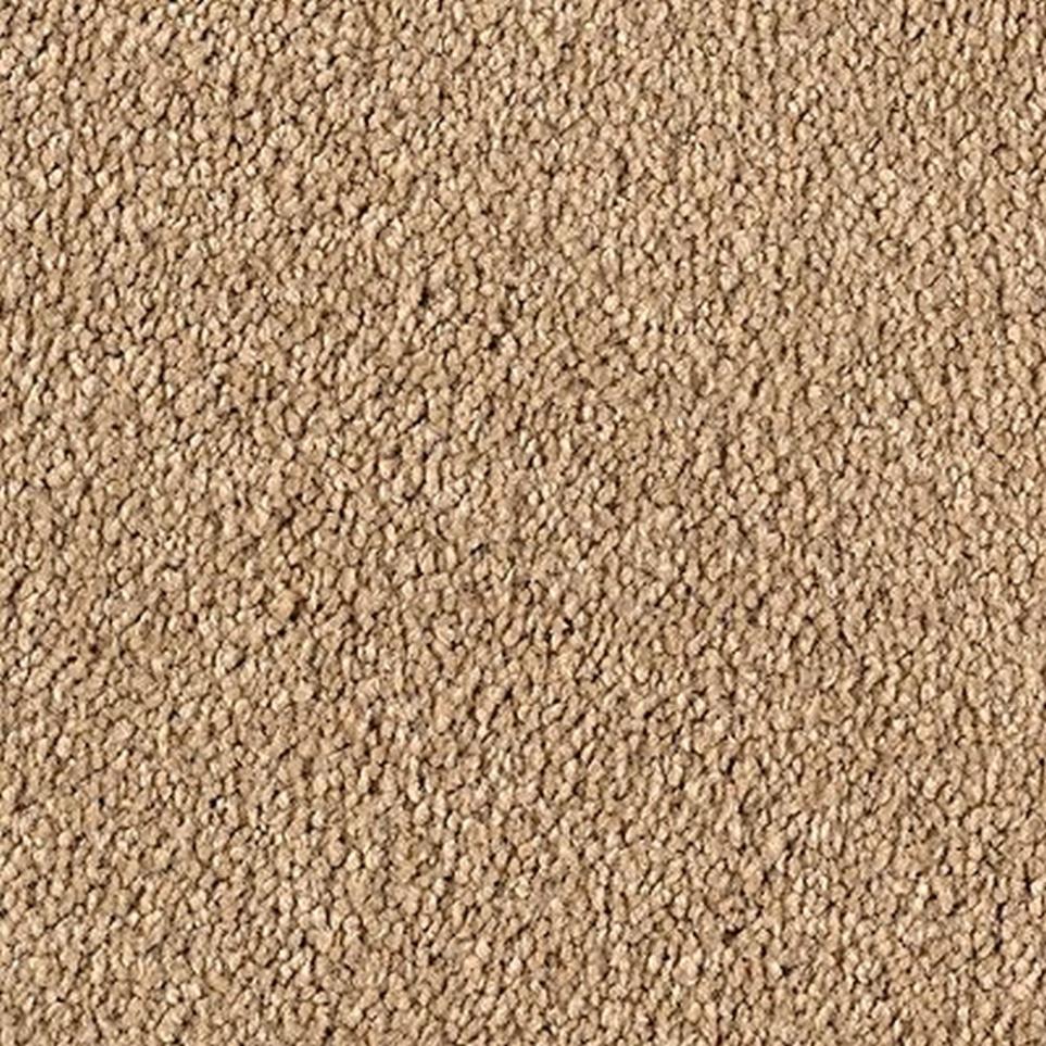 Textured Saxony Artisan Beige/Tan Carpet
