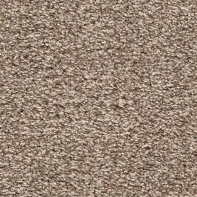 Textured Saxony Sundial Brown Carpet