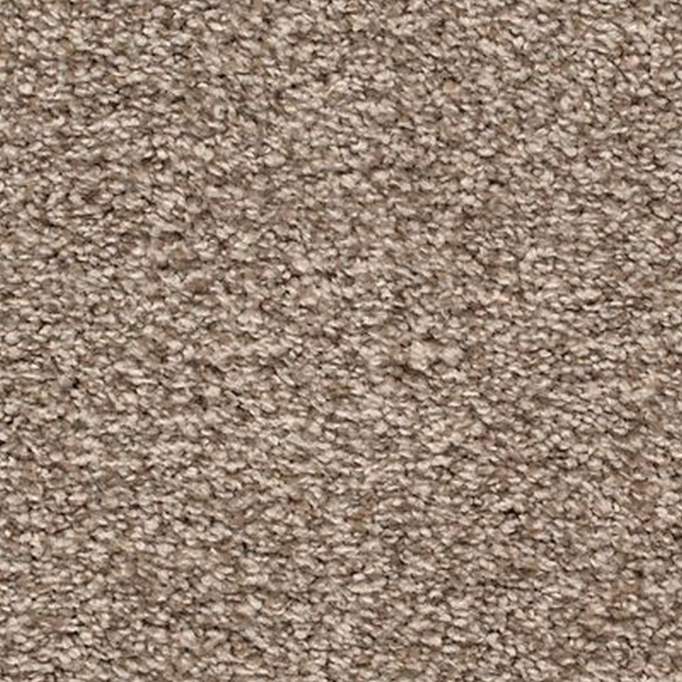 Textured Saxony Sundial Brown Carpet