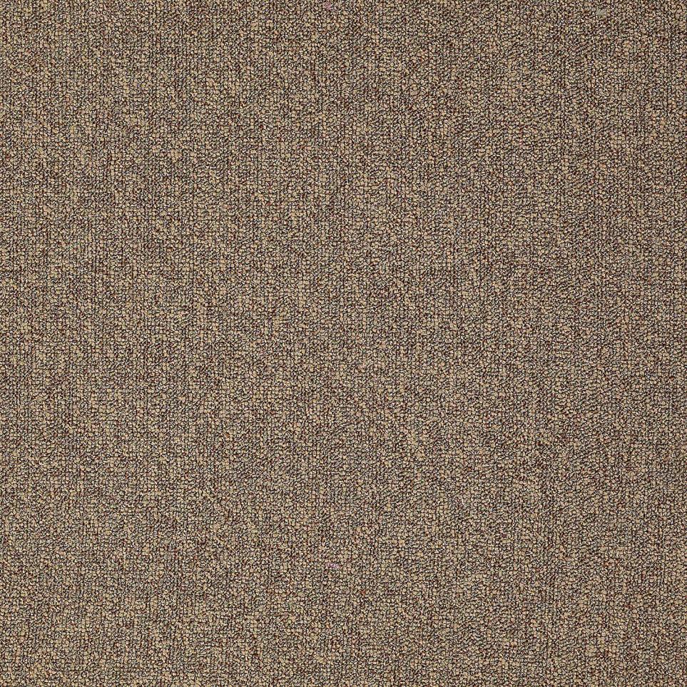 Multi-Level Loop Third Base Brown Carpet