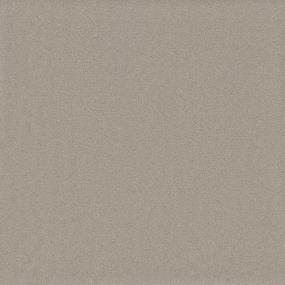 Textured Saxony Spool Beige/Tan Carpet