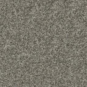 Casual Texture Buff Gray Carpet