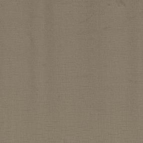 Pattern Splendid Brown Carpet