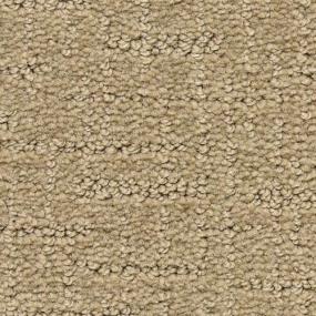 Pattern Champion Brown Carpet