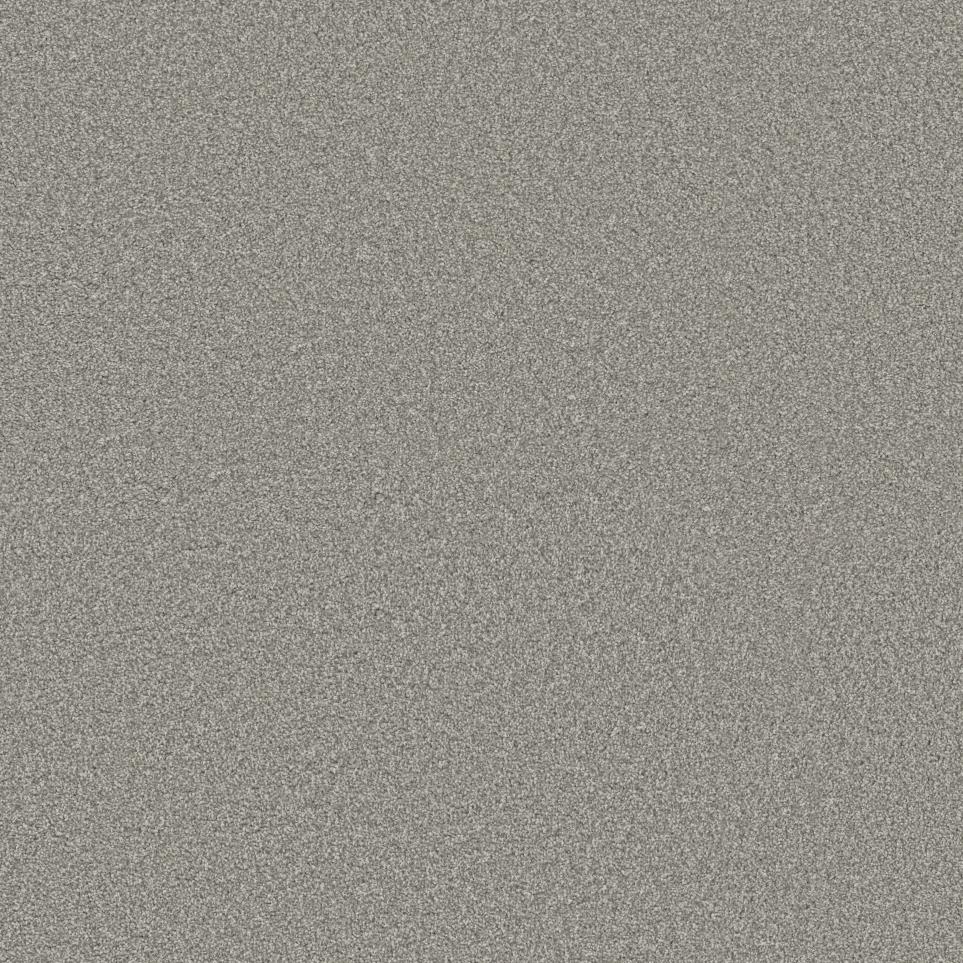 Texture Arctic Gray Carpet