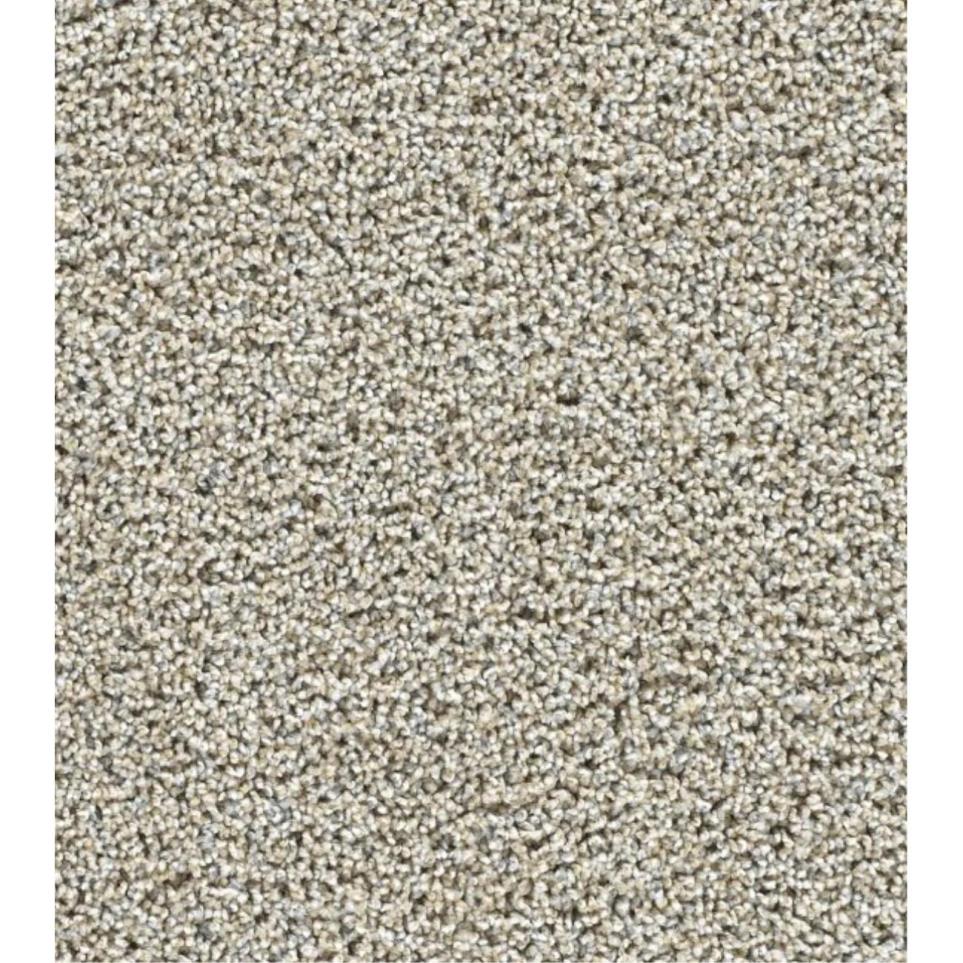 Textured Saxony Jubilation Gray Carpet