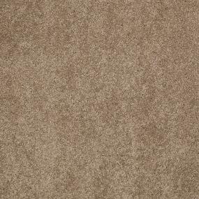 Textured Saxony Desktop Beige/Tan Carpet