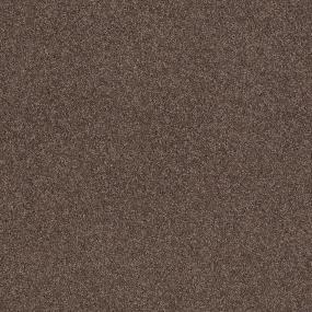 Textured Saxony Mole Brown Carpet