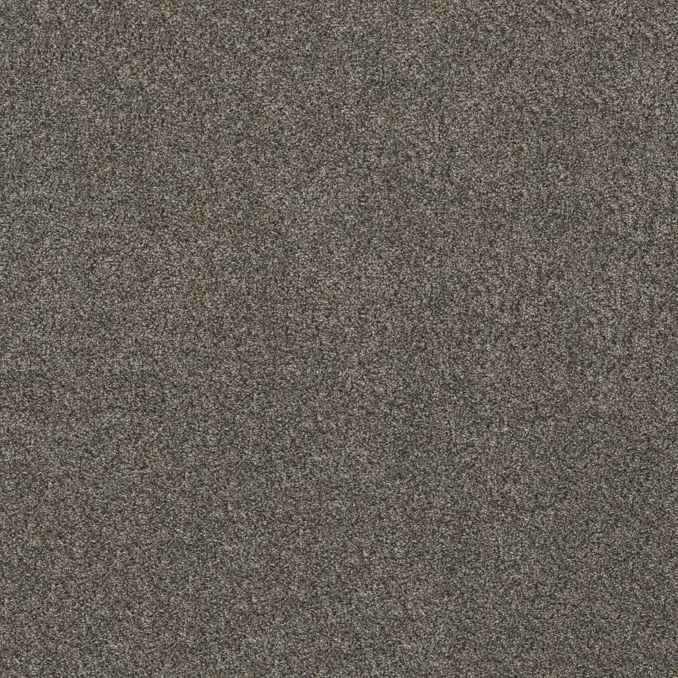 Textured Saxony Magnetic Brown Carpet