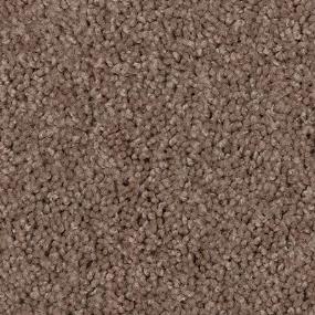 Texture Kiaus Brown Carpet