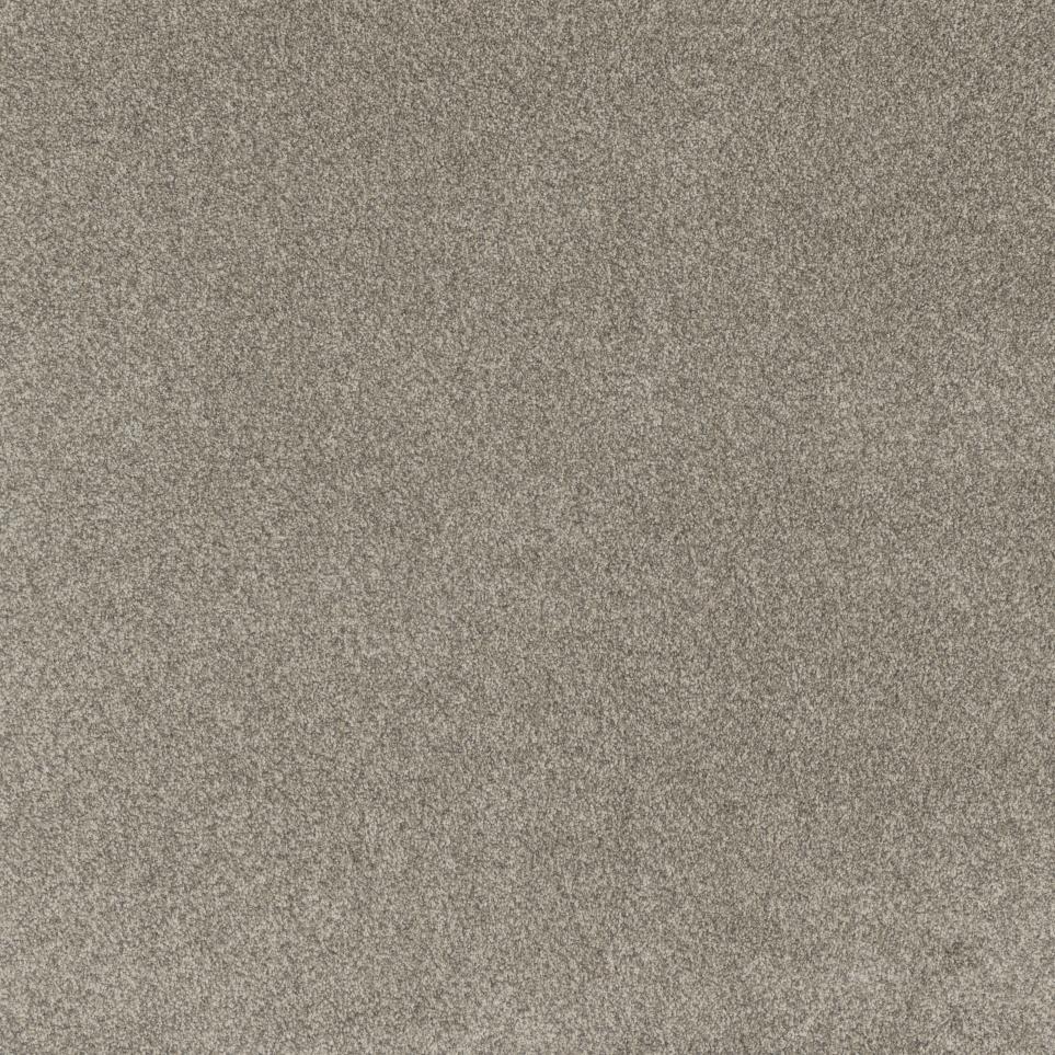 Textured Saxony Inviting Beige/Tan Carpet