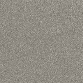 Textured Saxony Enjoyable Gray Carpet