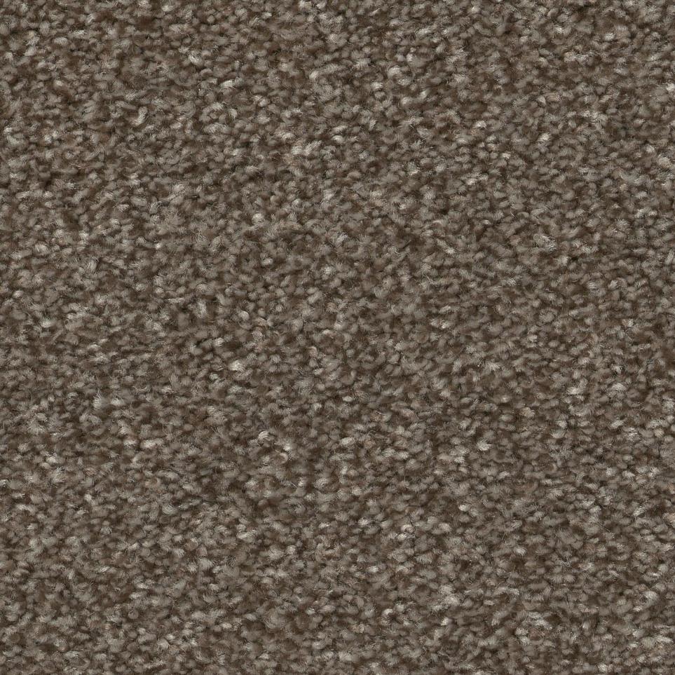 Textured Saxony Chaps Brown Carpet